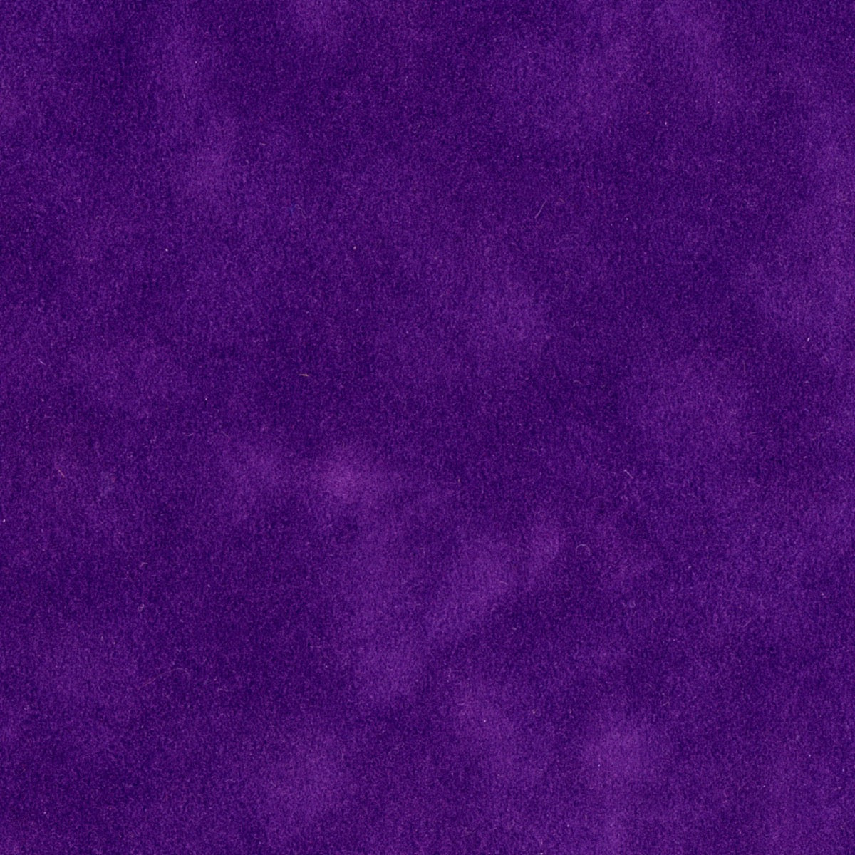 Purple Torch